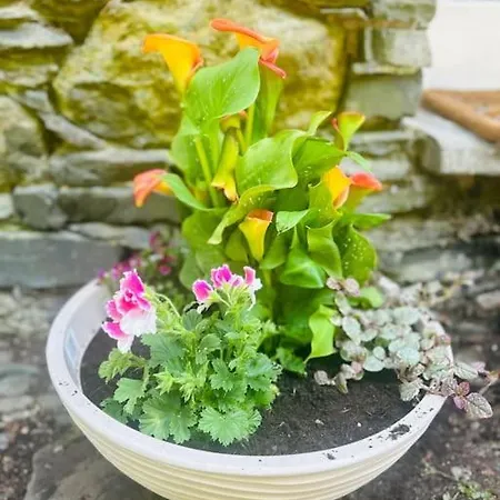 Appartement Croft Courtyard,